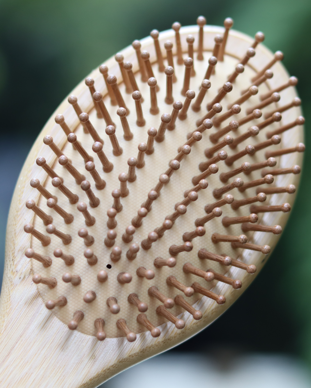 The Return Home Brush